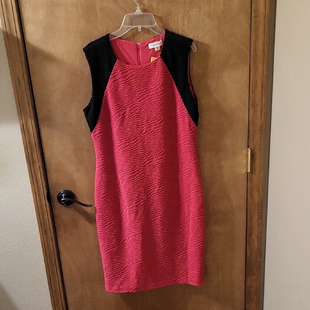 NEW CALVIN KLEIN Pink Dress WITH TAGS